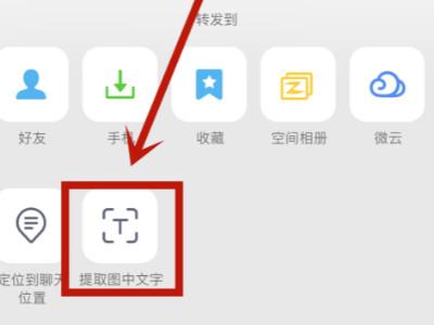 苹果手机如何从图片中提取文字