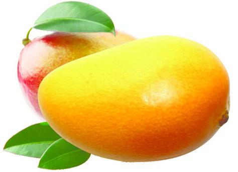 mango translate