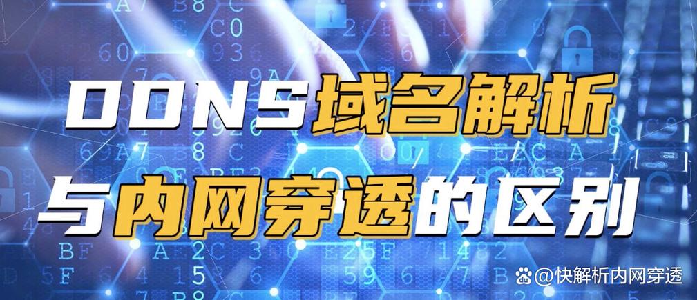DDNS缩略图