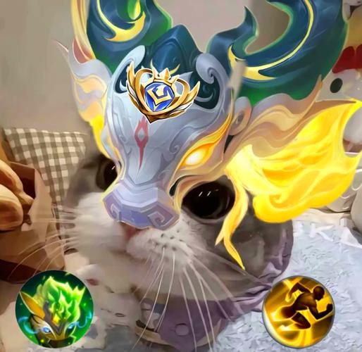 澜头像猫,顶级打野