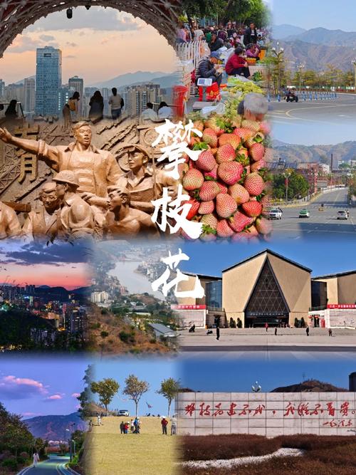 攀枝花gogo官网首页版