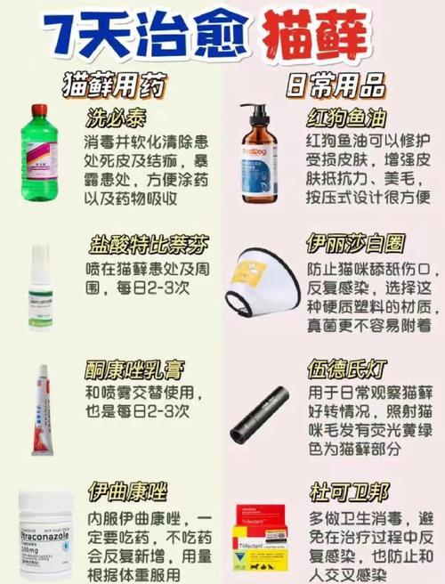 人得了猫癣怎么治缩略图