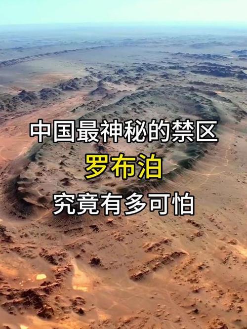 中国最神秘最可怕的部队图标