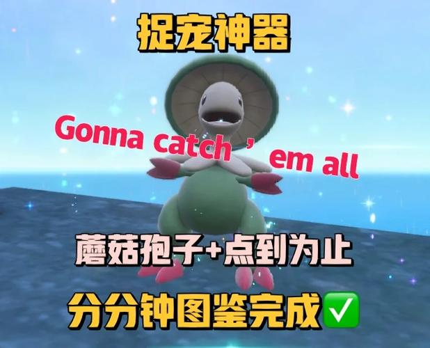 口袋妖怪竿竿在哪里买