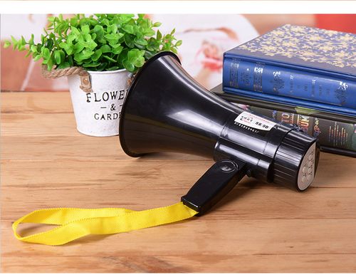 带录音的扩音器