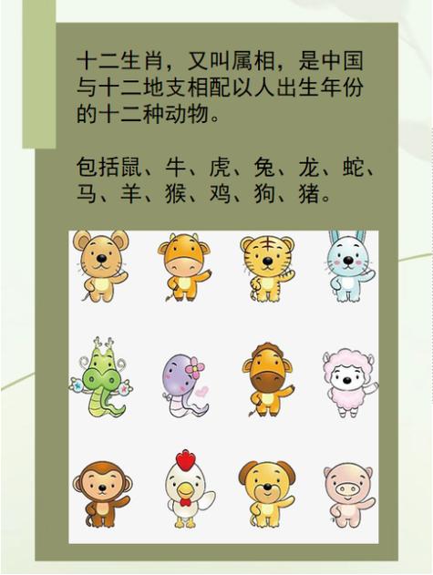 十二生肖群居生肖是指图标