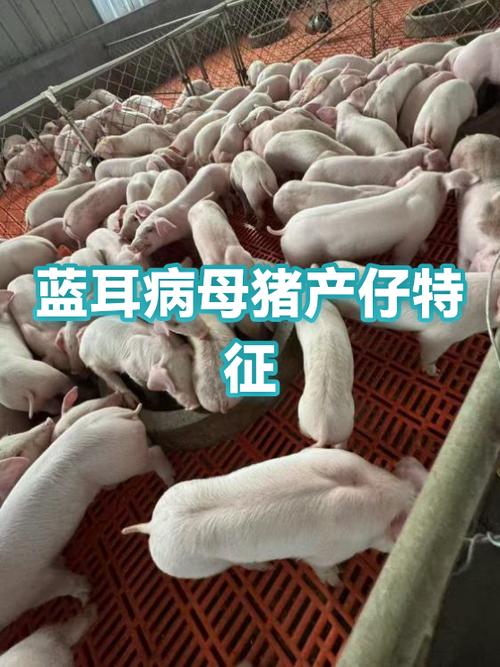 为什么蓝牙耳机关上盒子还连着游戏截图