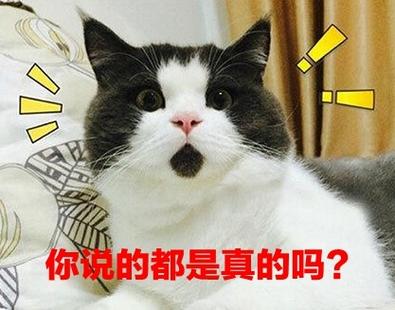 女生说相信你是真的吗