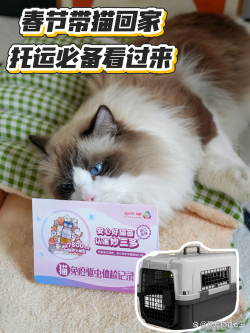 猫托运到外地需要哪些手续