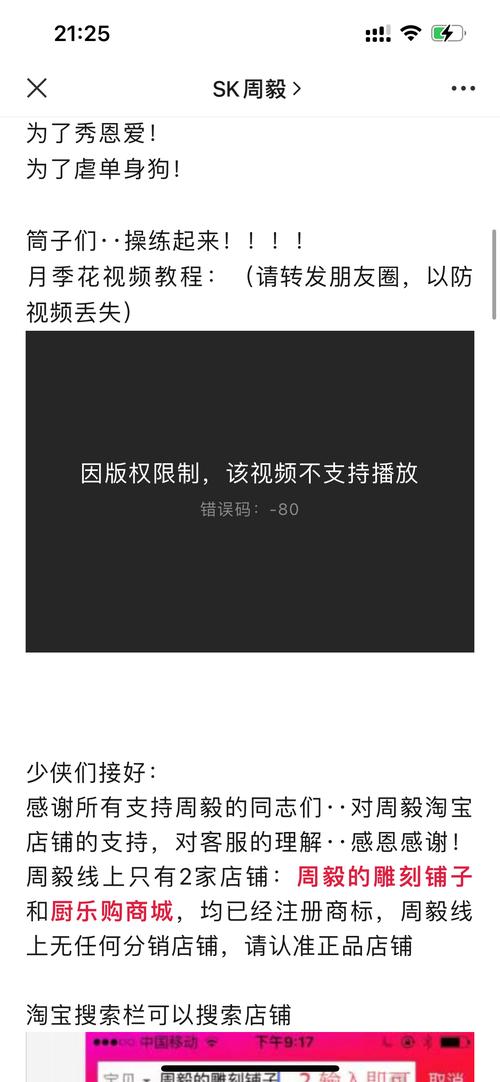 不支持此格式视频