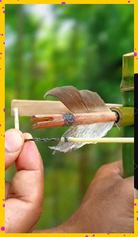 小型动物箭怎么制作截图