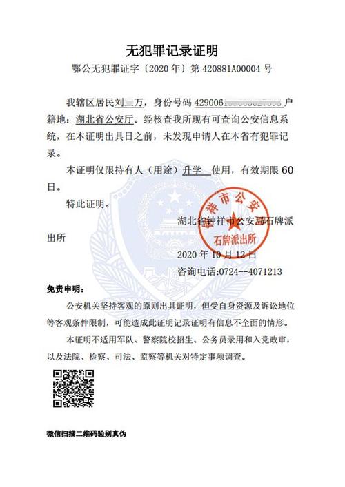电子版无犯罪记录证明