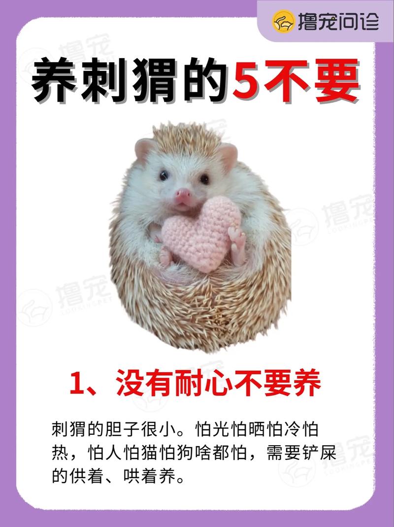 刺猬是不是保护动物