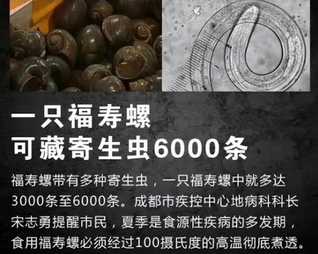 净螺宝的正确用法