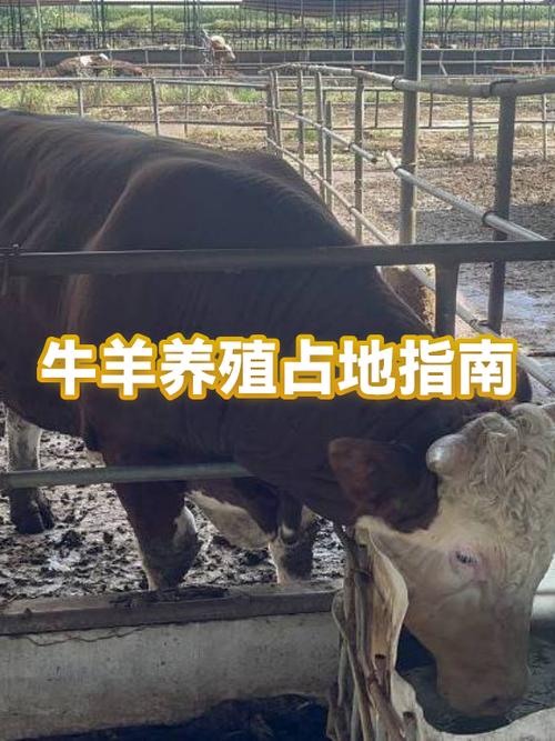养殖占地的最新规定