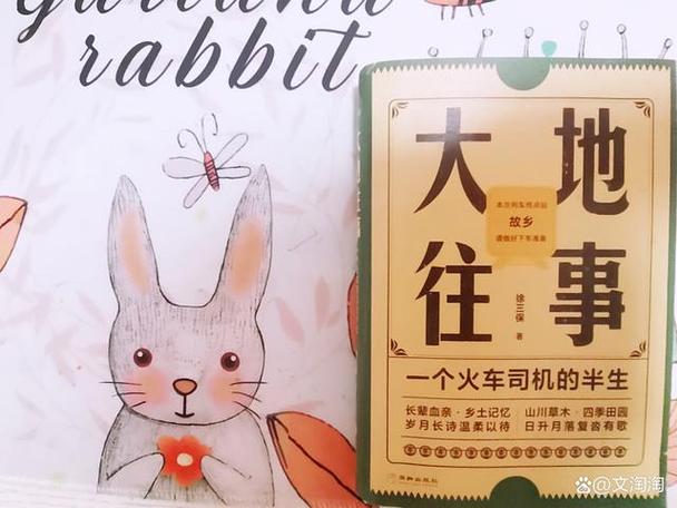 故事经历