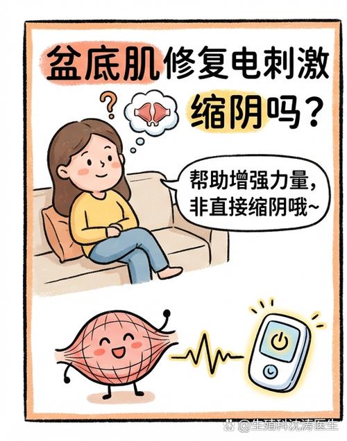 盆底肌修复原理