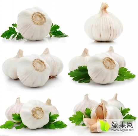 大蒜APP怎么登录截图