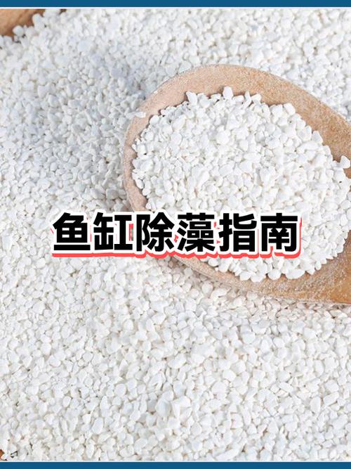 如何去除鱼缸里的绿藻截图