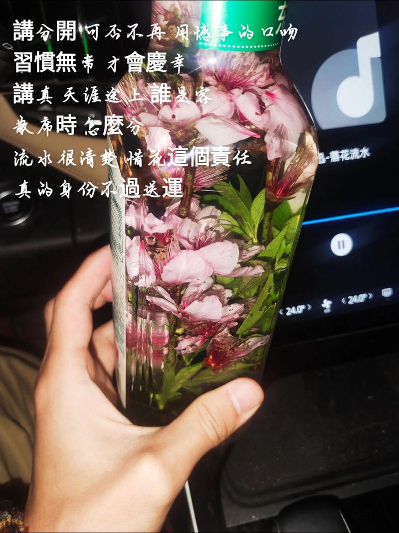 流水清楚惜花这个责任歌词