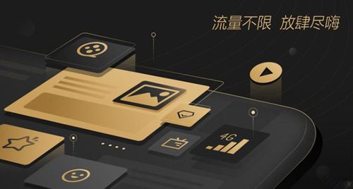 看理想会员截图
