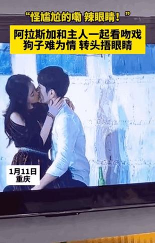 免费观看亲密完整版