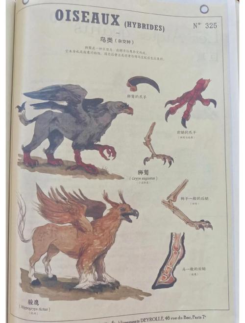 狮鹫和骏鹰