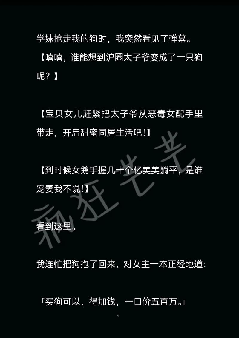 疯狂小婶小说免费阅读