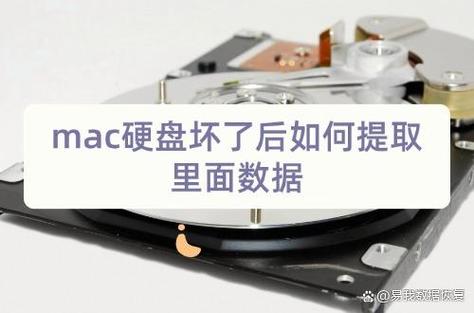 坏硬盘数据导出