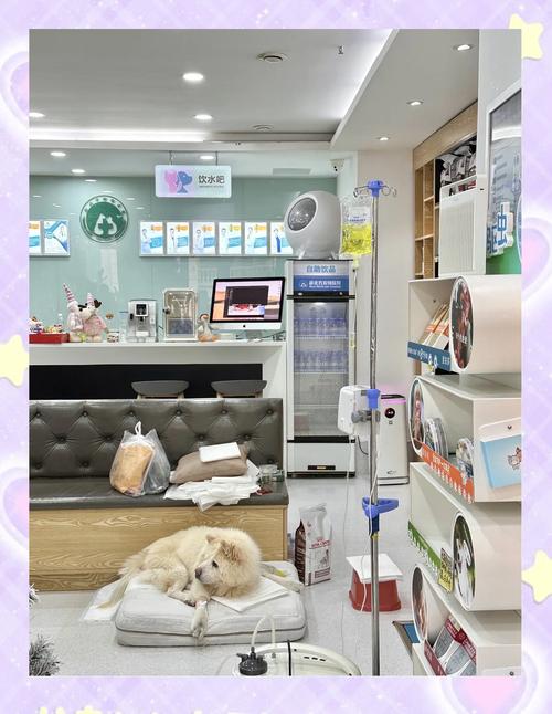 优爱宠物店
