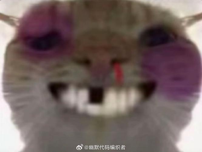 猫meme鼻青脸肿龇牙笑表情包游戏截图