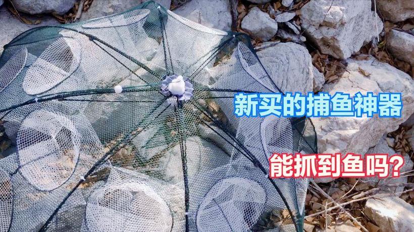 鱼塘防偷鱼最佳方法
