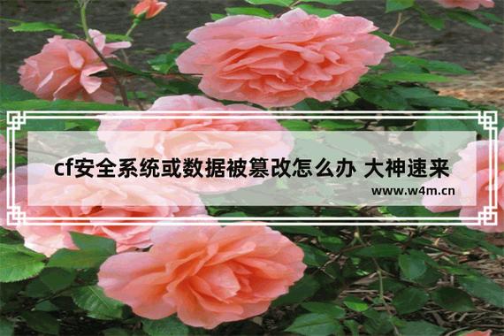 cf文件损坏或丢失