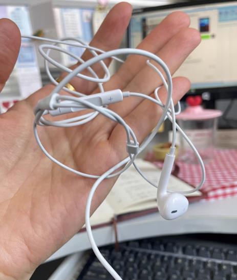 真我gt可以用typec耳机吗截图
