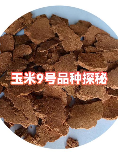 玉米.9cc