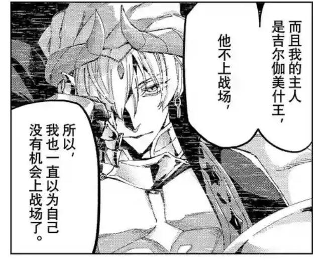 fate赝品战争