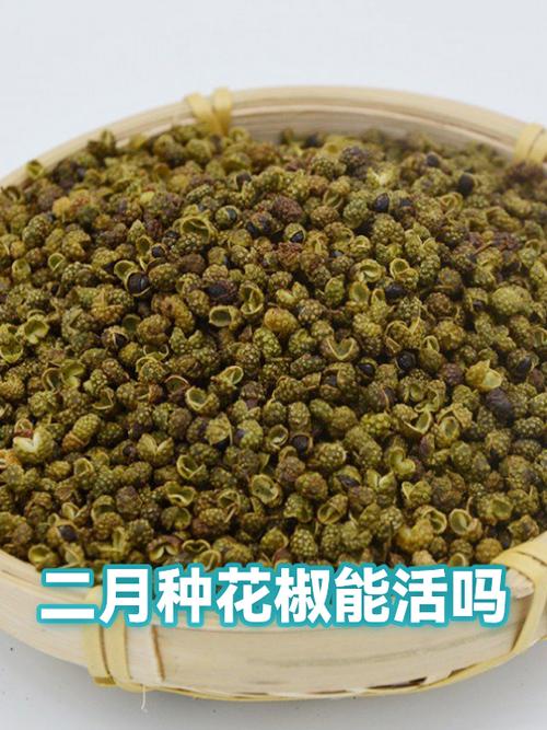 花椒排行榜前十名