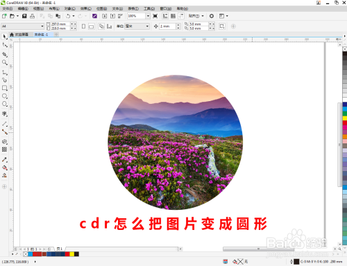 圆形图片编辑软件