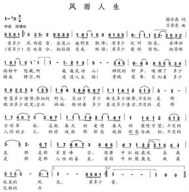 《重案六组》片尾曲《风雨人生》