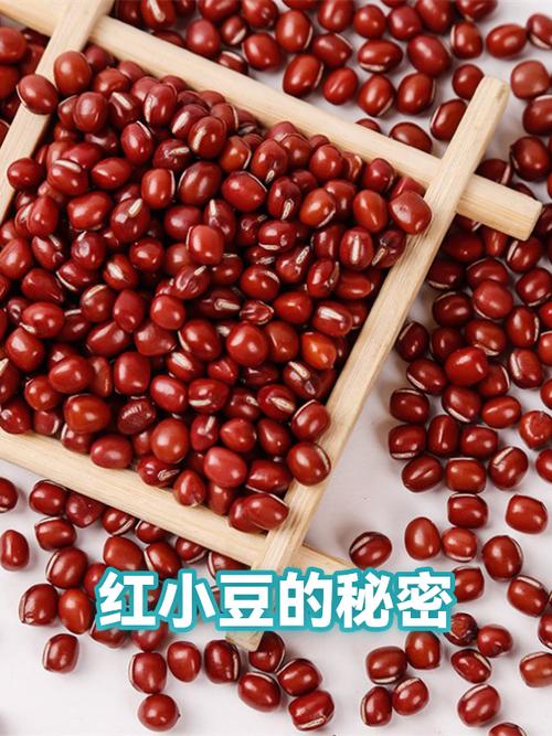 红小豆是男是女