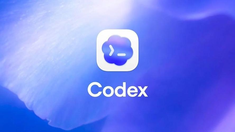 code app图标