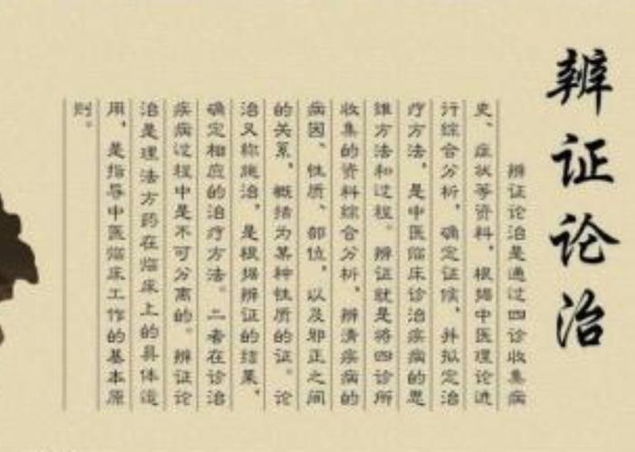 辩证施治截图