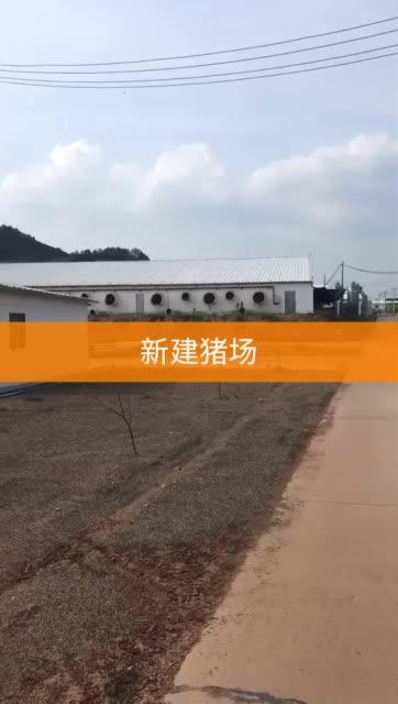 快手养猪场是真的吗