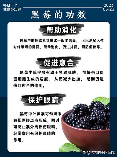 黑莓的功效与作用缩略图