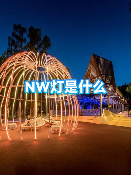 nw是什么意思啊
