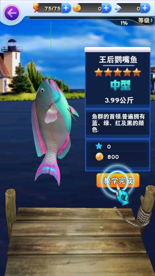 享越疯狂钓鱼解说