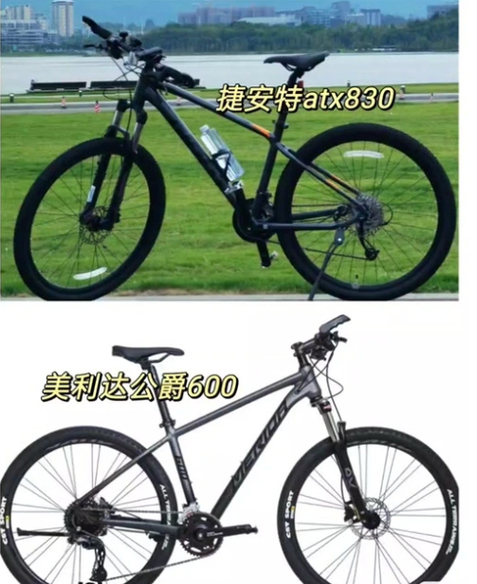 为什么都从美利达换到捷安特