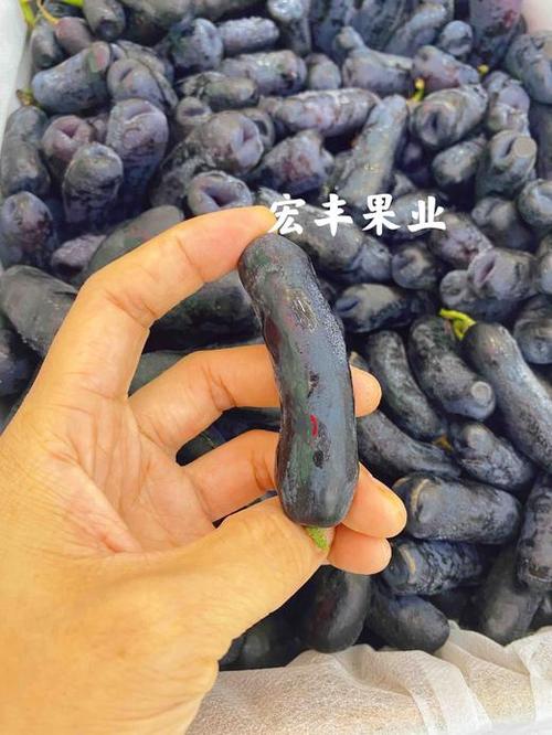 金手指价格多少钱截图