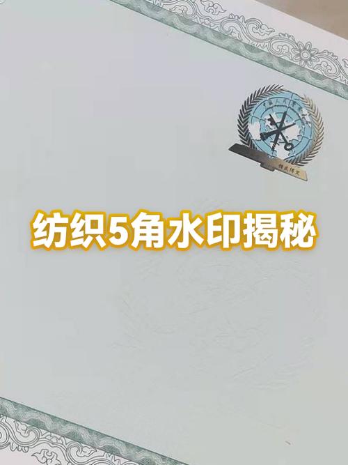 带水印的相机软件