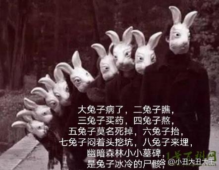 十只兔子截图